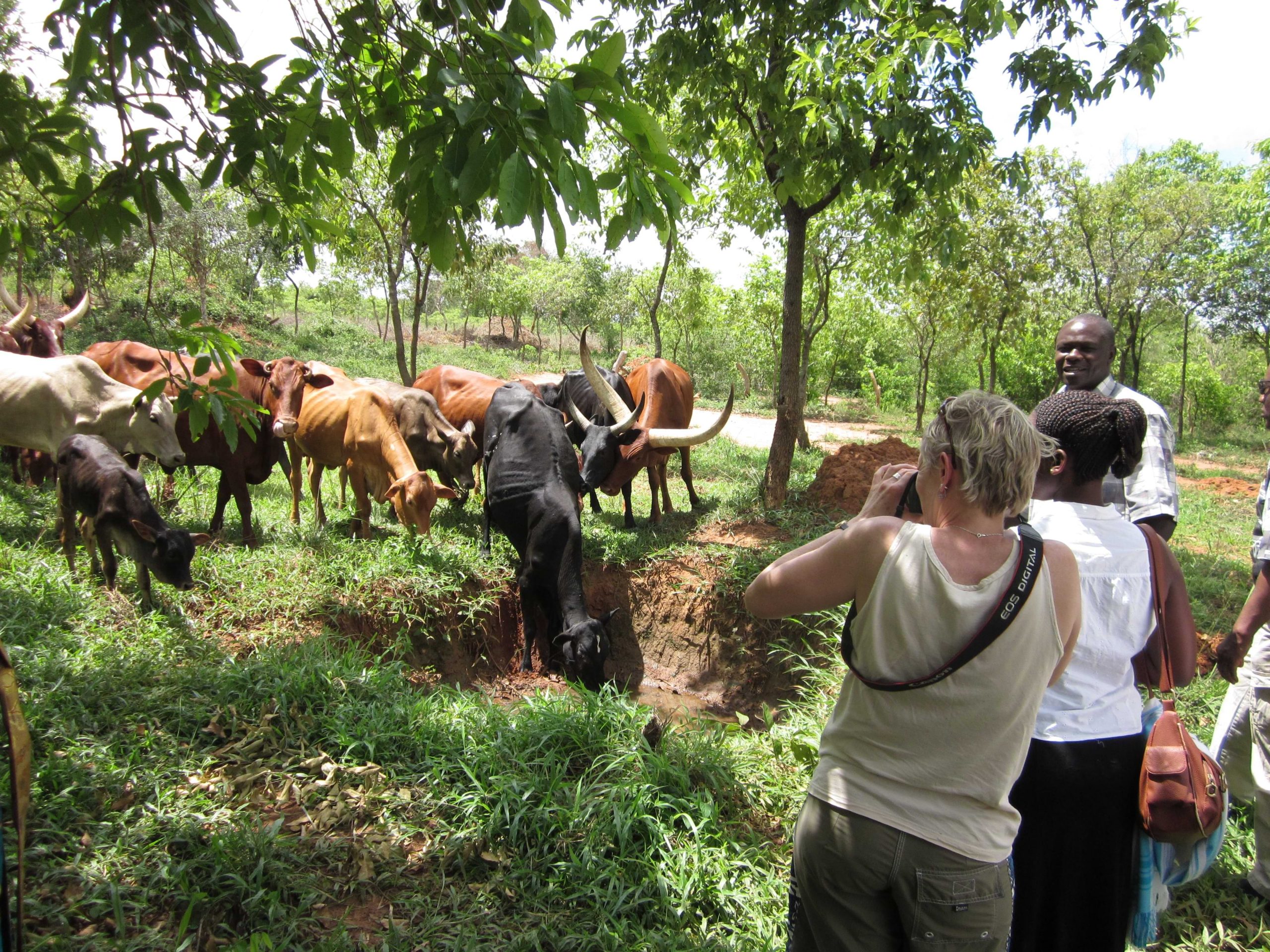 Rural Development, Uganda